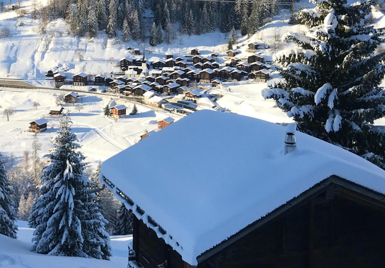 Haus Bortis Appartement Goms Buitenkant foto