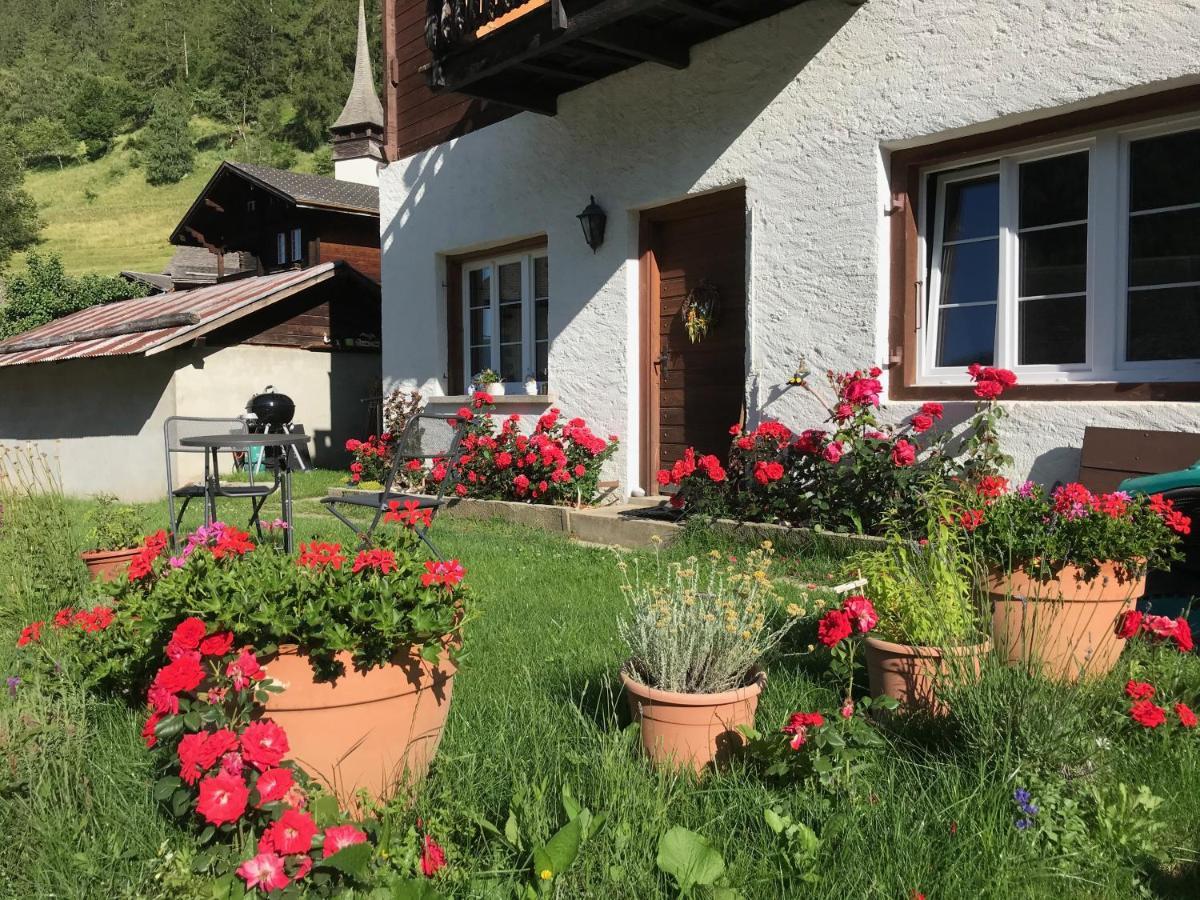 Haus Bortis Appartement Goms Buitenkant foto