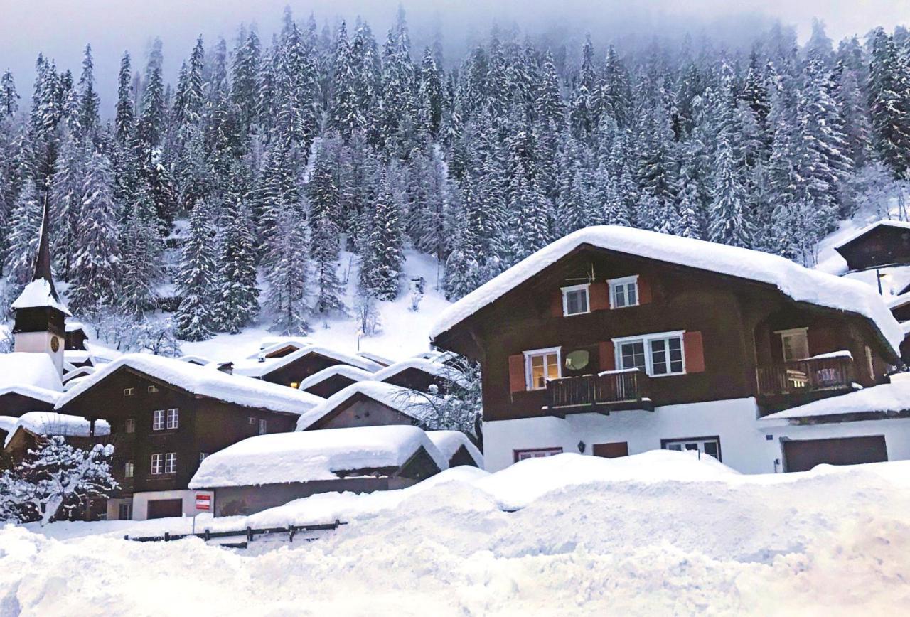 Haus Bortis Appartement Goms Buitenkant foto