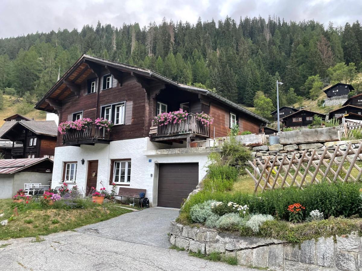 Haus Bortis Appartement Goms Buitenkant foto