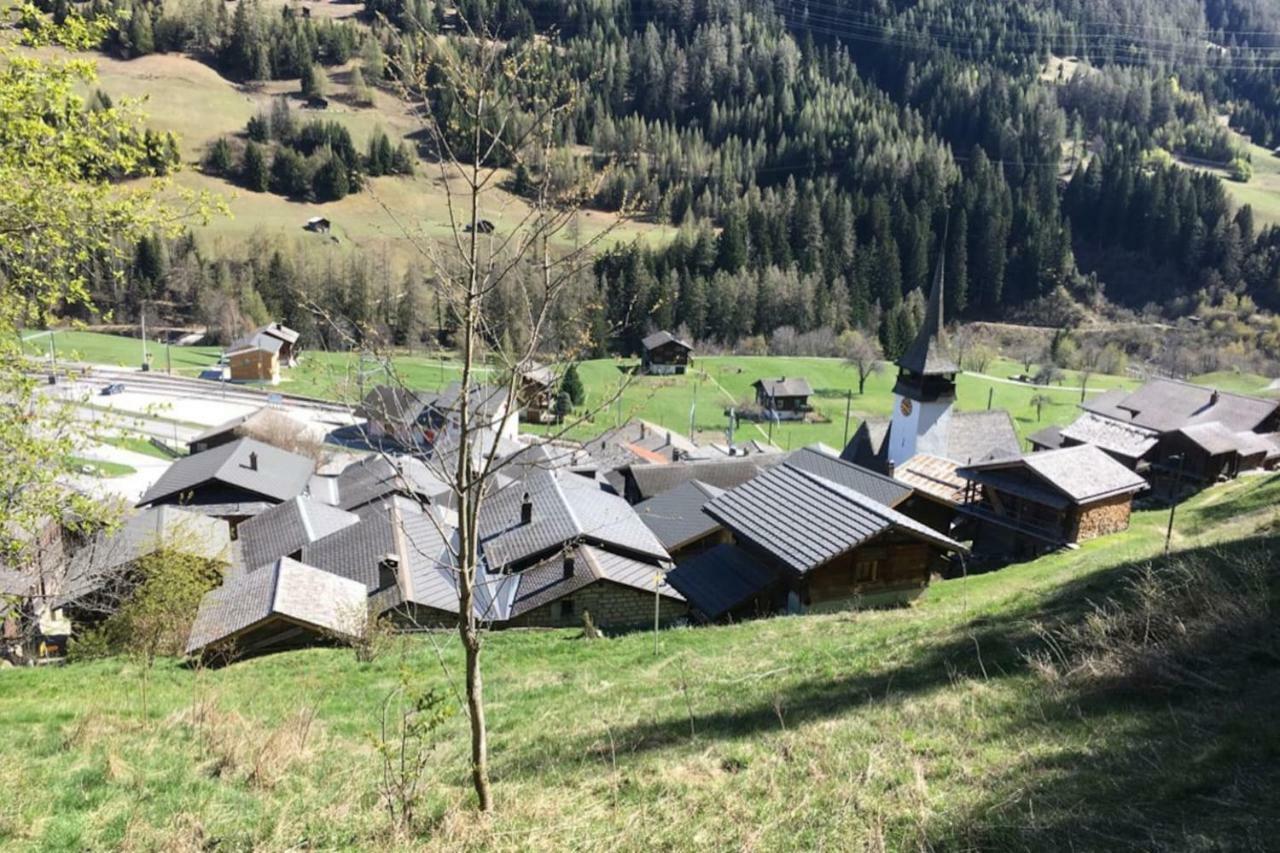 Haus Bortis Appartement Goms Buitenkant foto