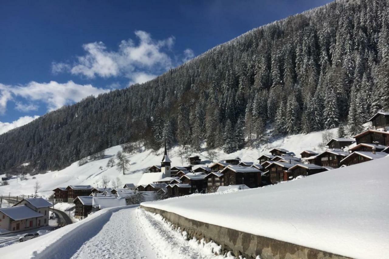 Haus Bortis Appartement Goms Buitenkant foto